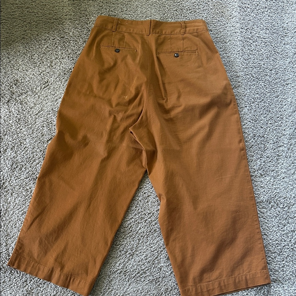Madewell Rust Wide-Leg Pants - Picture 9 of 11
